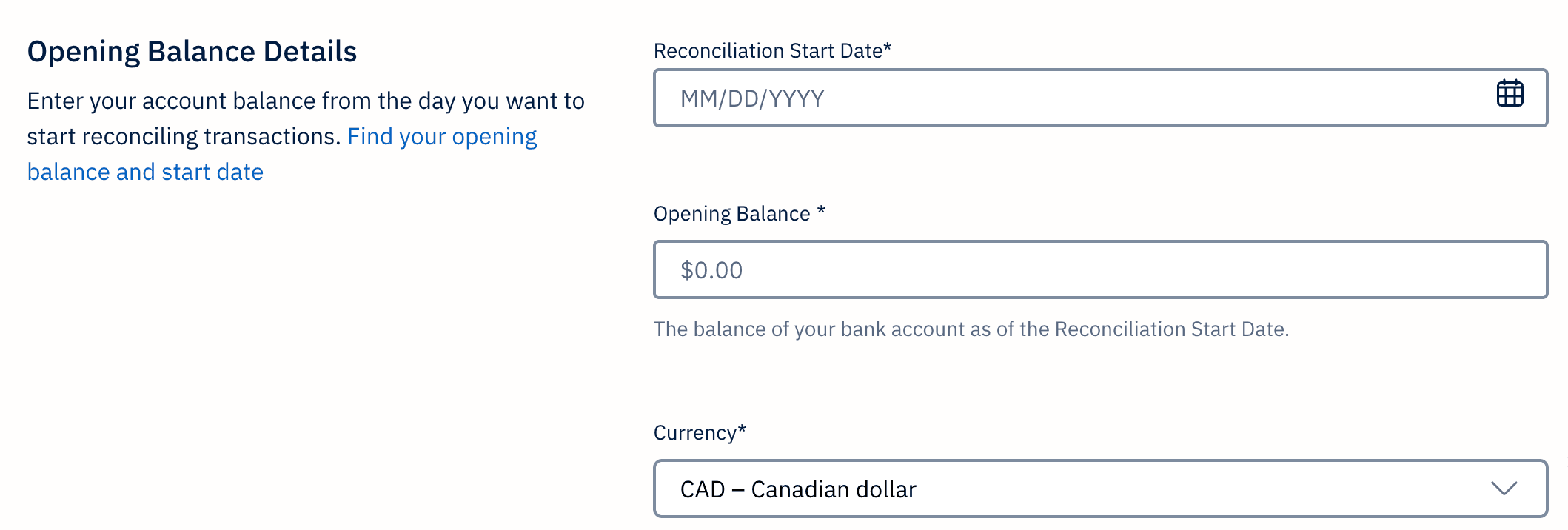 Fields to fill in for opening balance details