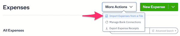 Import expenses from a file button in Expenses section.