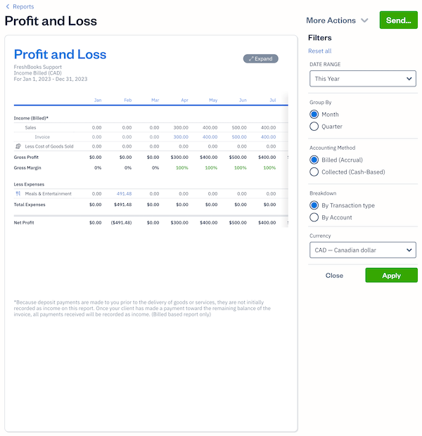 Filters on the profit and loss report.