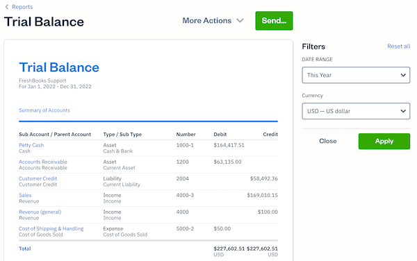 Filters on the trial balance report.