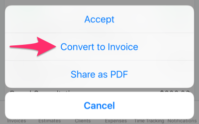 Convert to invoice button.