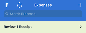 Review bar on top of list of Expenses.